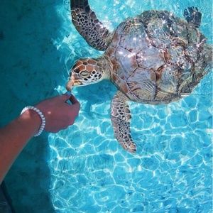 Meet your Posher, Julianna